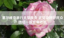 塞尔维亚举行大型集会 武契奇呼吁民众团结一致抵御危机