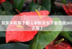 京东手机版下载（手机京东下载安装2018正版）
