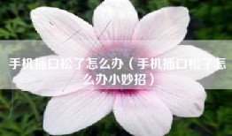 手机插口松了怎么办（手机插口松了怎么办小妙招）