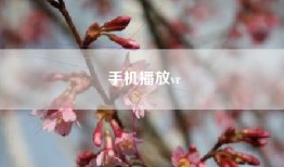 手机播放vr