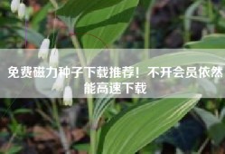 免费磁力种子下载推荐！不开会员依然能高速下载