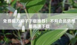 免费磁力种子下载推荐！不开会员依然能高速下载