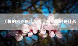 手机的密码是什么（手机的密码是什么啊）