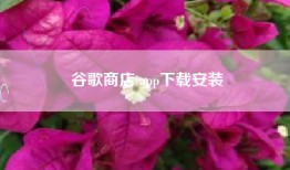 谷歌商店 app下载安装