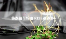 韩泰轿车轮胎 ICEBEAR (W300)