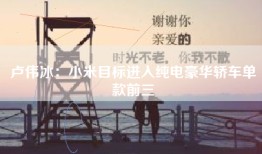卢伟冰：小米目标进入纯电豪华轿车单款前三