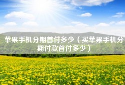 苹果手机分期首付多少（买苹果手机分期付款首付多少）