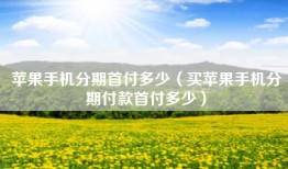 苹果手机分期首付多少（买苹果手机分期付款首付多少）
