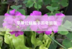 苹果公益服手游电脑版