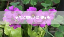 苹果公益服手游电脑版