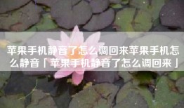 苹果手机静音了怎么调回来苹果手机怎么静音「苹果手机静音了怎么调回来」