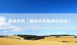 模块手机（模块手机是那出的来）