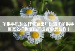 苹果手机怎么样恢复出厂设置（苹果手机怎么样恢复出厂设置会怎么样）