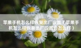 苹果手机怎么样恢复出厂设置（苹果手机怎么样恢复出厂设置会怎么样）
