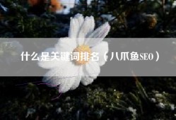 什么是关键词排名（八爪鱼SEO）