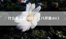 什么是关键词排名（八爪鱼SEO）