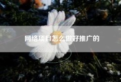 网络项目怎么做好推广的