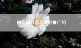 网络项目怎么做好推广的