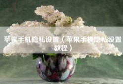 苹果手机隐私设置（苹果手机隐私设置教程）