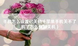 手机怎么设置已关机（苹果手机关不了机了怎么强制关机）