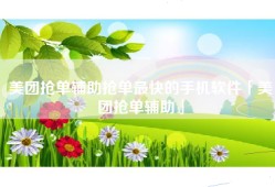 美团抢单辅助抢单最快的手机软件「美团抢单辅助」