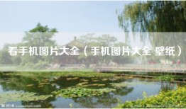 看手机图片大全（手机图片大全 壁纸）