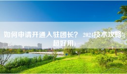 如何申请开通入驻团长？ 2024技术攻略!(超好用)