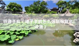 铁锤手机（锤子手机怎么强制恢复出厂设置）