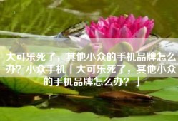 大可乐死了，其他小众的手机品牌怎么办？小众手机「大可乐死了，其他小众的手机品牌怎么办？」