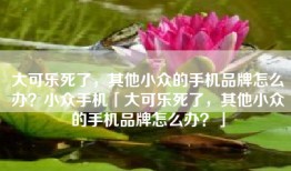 大可乐死了，其他小众的手机品牌怎么办？小众手机「大可乐死了，其他小众的手机品牌怎么办？」