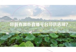 目前有哪些直播平台可供选择？