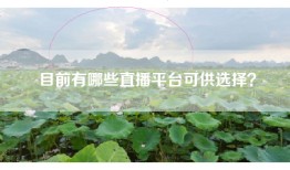 目前有哪些直播平台可供选择？