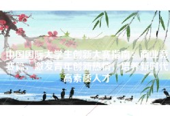 中国国际大学生创新大赛指南：商业竞赛篇，激发青年创新热情，培养新时代高素质人才