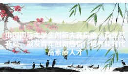 中国国际大学生创新大赛指南：商业竞赛篇，激发青年创新热情，培养新时代高素质人才