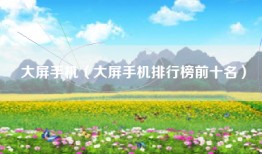 大屏手机（大屏手机排行榜前十名）