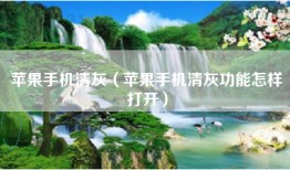 苹果手机清灰（苹果手机清灰功能怎样打开）
