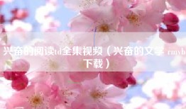 兴奋的阅读td全集视频（兴奋的文学 rmvb 下载）
