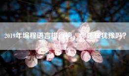 2019年编程语言排行榜，你还在犹豫吗？