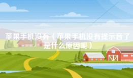 苹果手机没有（苹果手机没有提示音了是什么原因呢）