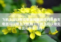 飞机上可以带充电器和数据线吗手机充电器可以带上飞机吗「飞机上可以带充电器和数据线吗」
