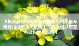 飞机上可以带充电器和数据线吗手机充电器可以带上飞机吗「飞机上可以带充电器和数据线吗」