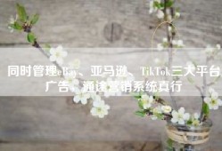 同时管理eBay、亚马逊、TikTok三大平台广告，通途营销系统真行