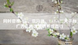 同时管理eBay、亚马逊、TikTok三大平台广告，通途营销系统真行