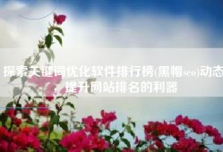 探索关键词优化软件排行榜(黑帽seo)动态，提升网站排名的利器
