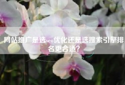 网站推广是选seo优化还是选搜索引擎排名更合适？