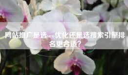 网站推广是选seo优化还是选搜索引擎排名更合适？