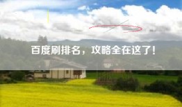 百度刷排名，攻略全在这了！