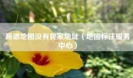 高德地图没有我家地址（地图标注服务中心）