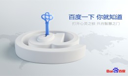 茌平区正规百度品牌推广包括哪几种