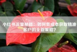小红书流量秘籍：如何低成本获取精准客户的全新策略？